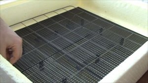 Обзор инкубатора - "Золушка" и подготовка к применению