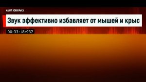 Ультразвук от мышей и крыс  Звук эффективно избавит от мышей и крыс  Мощный отпугиватель грызунов