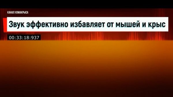 Ультразвук от мышей и крыс Звук эффективно избавит от мышей и крыс Мощный отпугиватель грызунов