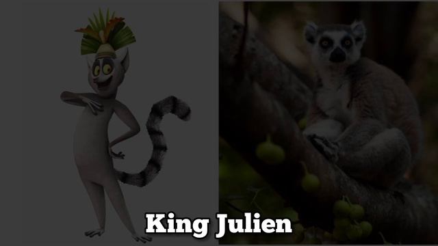 Мадагаскар в реальной жизни / Madagascar In Real Life.