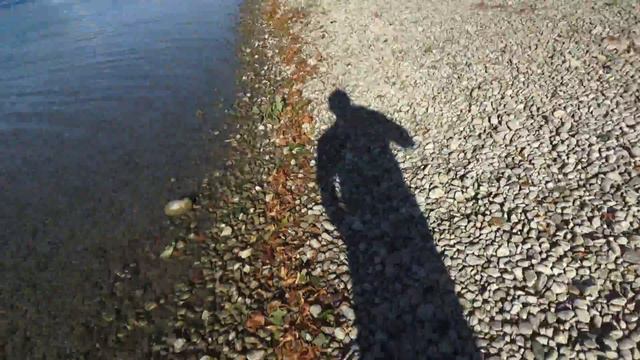Золото Серебро куча монет старина и многое другое не плохой короткий день часть 1 смотреть онлайн