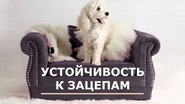 Антивандальная ткань для дивана .Правда или миф ? смотреть онлайн