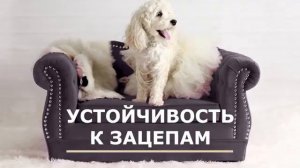 Антивандальная ткань для дивана .Правда или миф ?