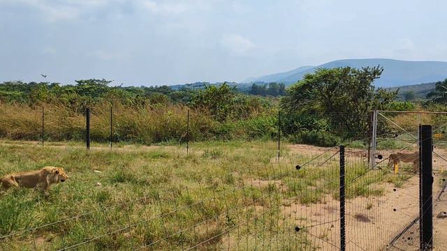 Parc De La Valee De La N'sele / Демократическая Республика Конго