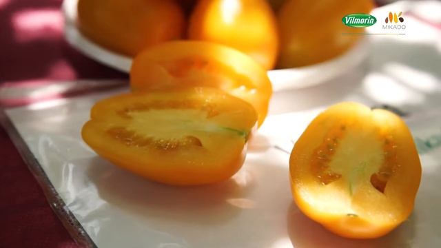 Гибриды томатов Vilmorin-Mikado смотреть онлайн