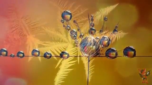 Картинки с макро на рабочий стол смотреть онлайн