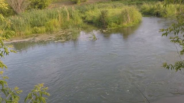 xul Neo Line 0,2-3 на малой реке смотреть онлайн