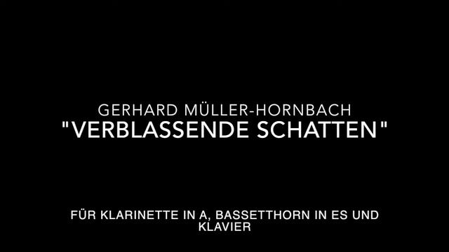 Gerhard Müller-Hornbach "Verblassende Schatten" (2004) смотреть онлайн