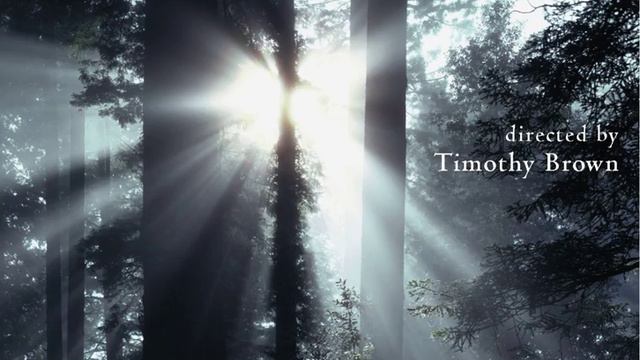 All-Night Vigil, Op. 37: Nyinye otpushchayeshi (Nunc dimittis) смотреть онлайн