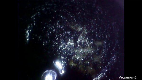 Состояние поршней после раскоксовки mitsubishi shuma_4