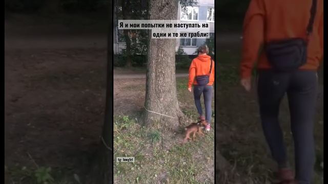 Не наступайте на одни и те же грабли смотреть онлайн