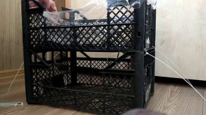 Теплица из пластиковых ящиков своими рукам /DIY greenhouse from plastic boxes/Парник для цветов дом