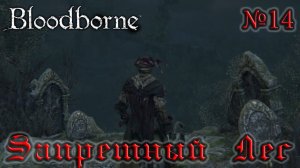 BloodBorne Прохождение, тактика и секреты - #14 Запретный Лес