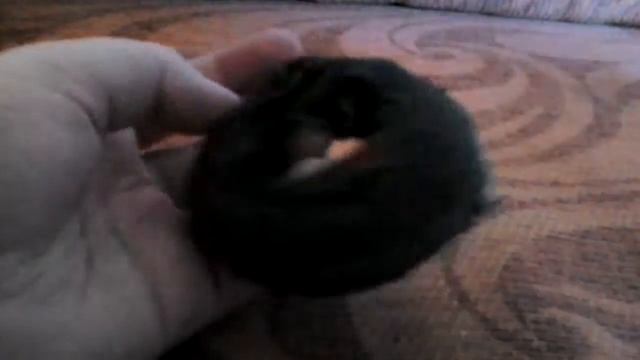 Pufas смотреть онлайн