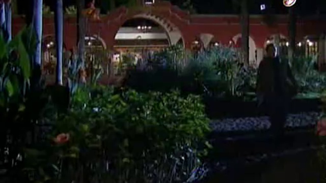 LMDV33P1 смотреть онлайн