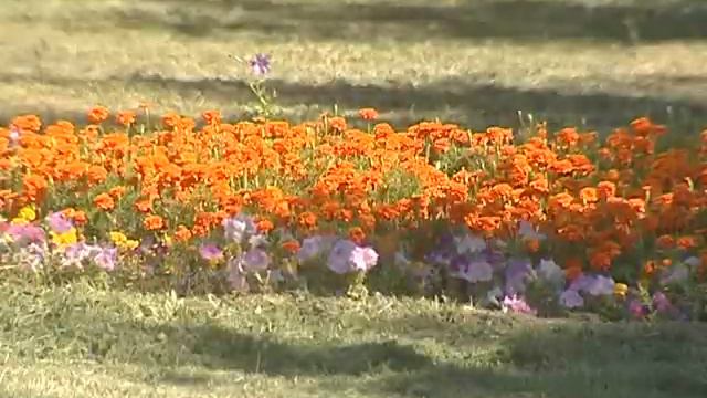 Олег Полумордвинов проконтролировал ход работ по благоустройству смотреть онлайн