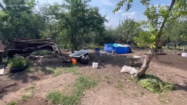 #81 Решили всё разобрать/ Запасливый был хозяин смотреть онлайн