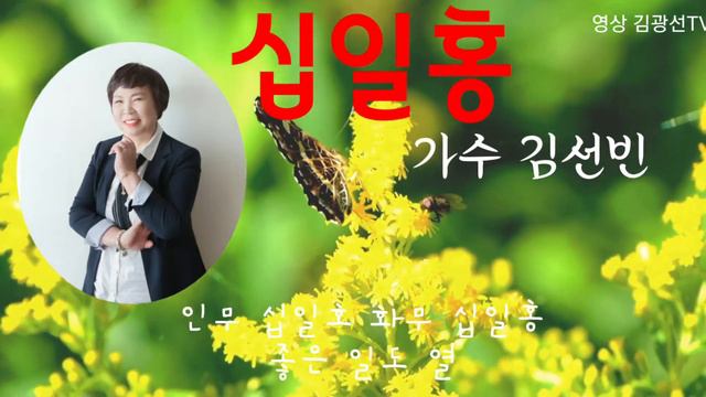 가수ㆍ강사 김선빈 # 십일홍 # 김광선TV смотреть онлайн