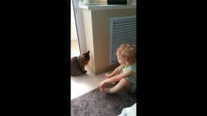 Ребенок 2 года (малыш) разговаривает с кошкой.