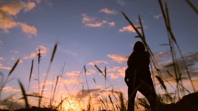 St. Theresa's College Quezon City смотреть онлайн