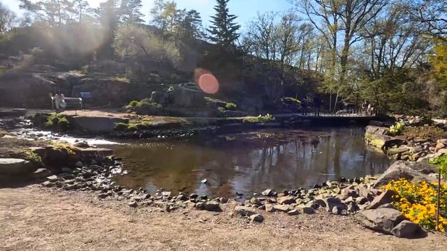 ботанический сад смотреть онлайн