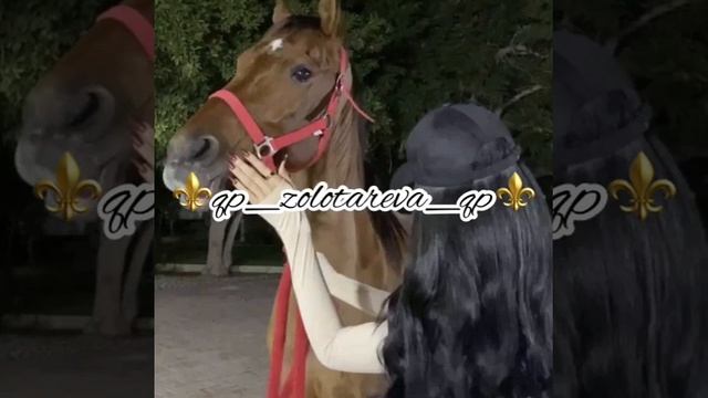 Слава Крым цыганская поличка✨ смотреть онлайн