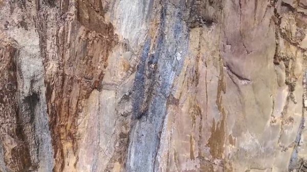 Adventure Gold, Isabella River gold & gems