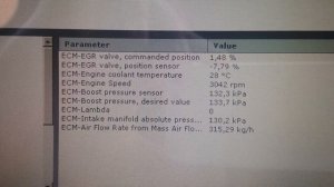 Volvo XC60 D5244T14: DTC ECM-P029900