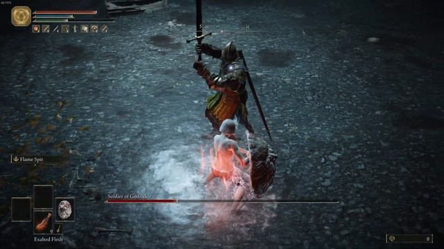 Beating Soldier of Godrick every day until Elden Ring's DLC comes out(day 77) смотреть онлайн