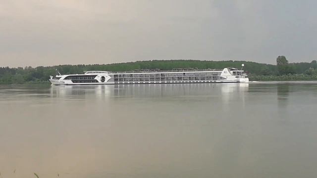 Pescuit La Scrumbie De Pe Mal In Cel Mai Interesant Loc De Pescuit Pe Dunăre