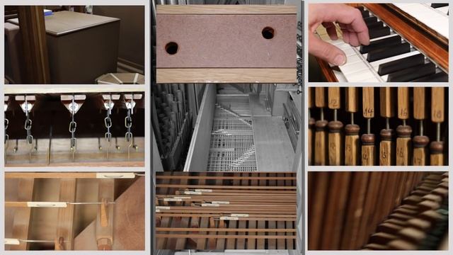 How an Organ Makes Music смотреть онлайн