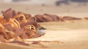 Песочник/ Добрый Мультфил для детей