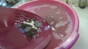 Собираем Мелкое Золото Ртутью.