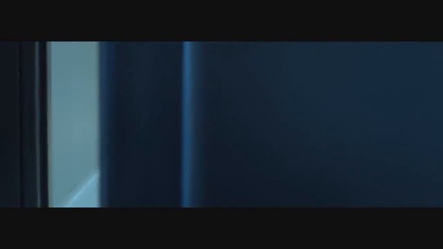 ТОП 5 Трогательных видео про животных смотреть онлайн