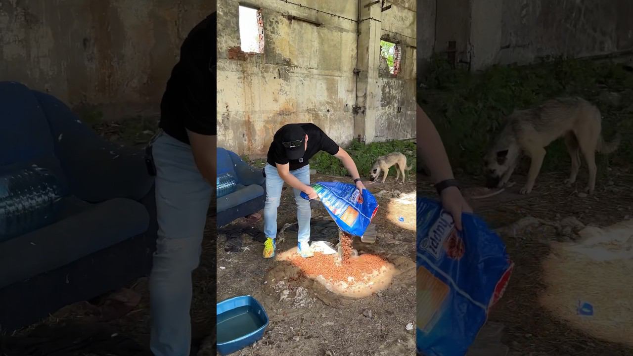 Первый в мире гимн бездомныхНаконец-то мною осуществлён✊