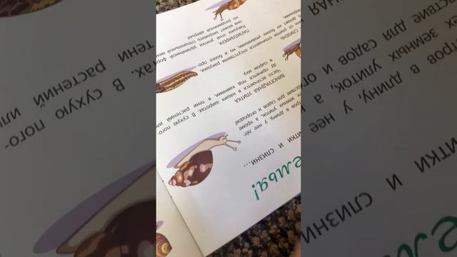 Улитка, урок, подготовка к школе, 5 лет смотреть онлайн