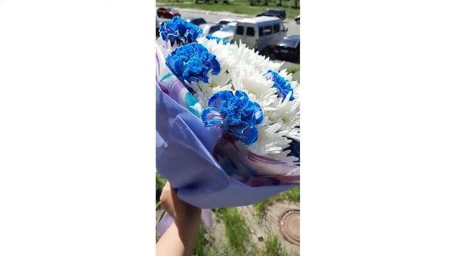 Диантусы и хризантемы смотреть онлайн