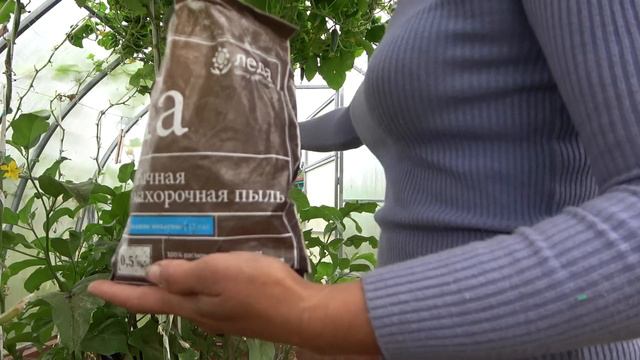 6 соток 9 августа 2022 год. Хроника. Life in the garden смотреть онлайн
