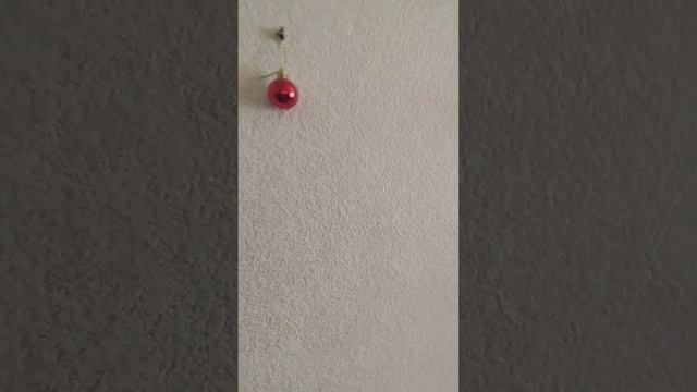 Крепления для сноуборда на стену , быстро, качественно, не дорого ! смотреть онлайн