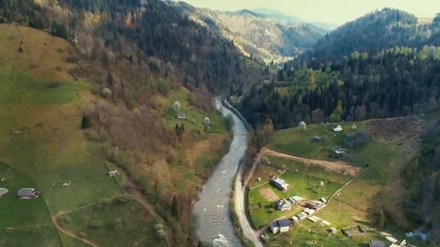 Копая могилу, люди наткнулись на старый гроб, вдруг из него донеслись крики. Они не решались вскрыт смотреть онлайн