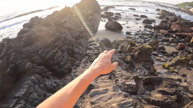 Красивая локация в Арамболе. Собака спит #гоа #индия #арамболь смотреть онлайн