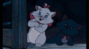 Коты-Аристократы? Самый романтичный момент!!!