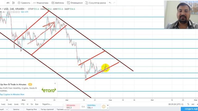 ПАМП или ДАМП криптовалюты Ripple XRP смотреть онлайн