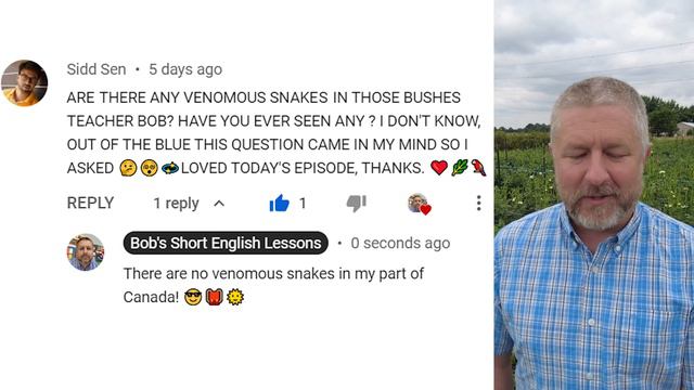 Learn the English Phrases TO RIP OFF and A RIP-OFF смотреть онлайн