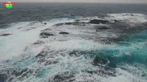 Интересные Факты о Тихом Океане.Самый Большой Океан Планеты.