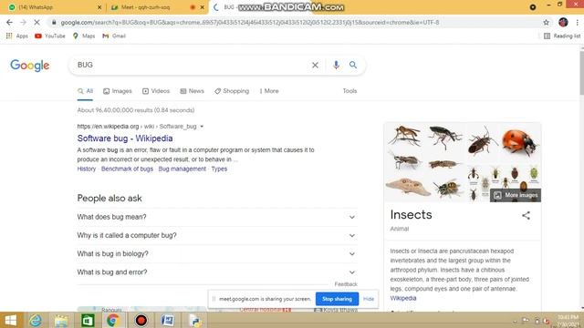 Class 11 What is Python comments and Errors Bugs and Debugging in python programming language #debu смотреть онлайн