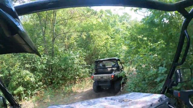 BRP Commander and CFMOTO UFORCE 800 ride in the wild forest. смотреть онлайн