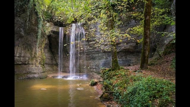 Звуки воды под прекрасные звуки птиц для медитации и раслобления смотреть онлайн