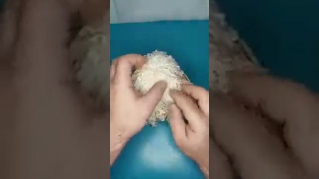 Мягкая игрушка, собачка из ниток своими руками. смотреть онлайн