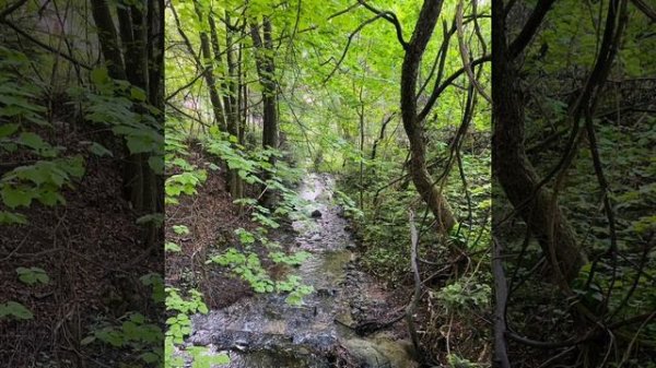 Людмила Зыкина - Подари мне платок Lyudmila Zykina - Podari mne platok (21 Kalimba Cover)